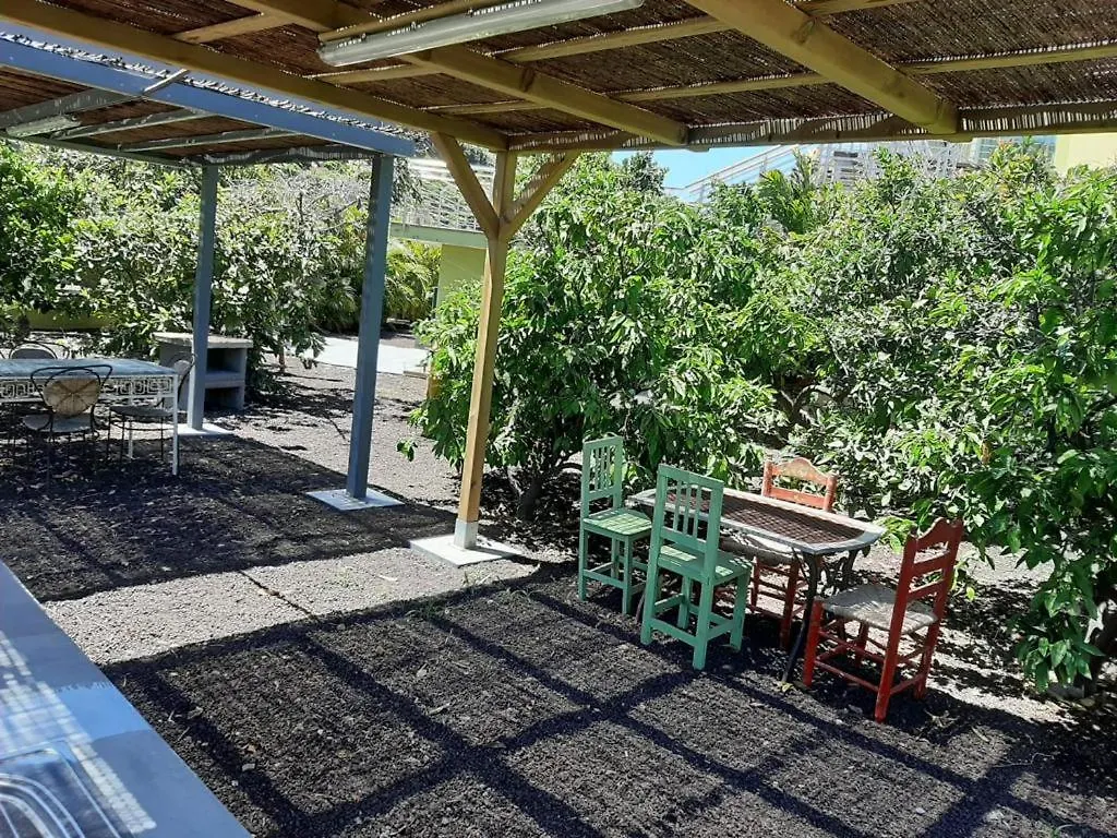 Finca Oasis Holidays & Health - Apartamentos Con Rooftop Terrace San Roque  San Roque (Gran Canaria)